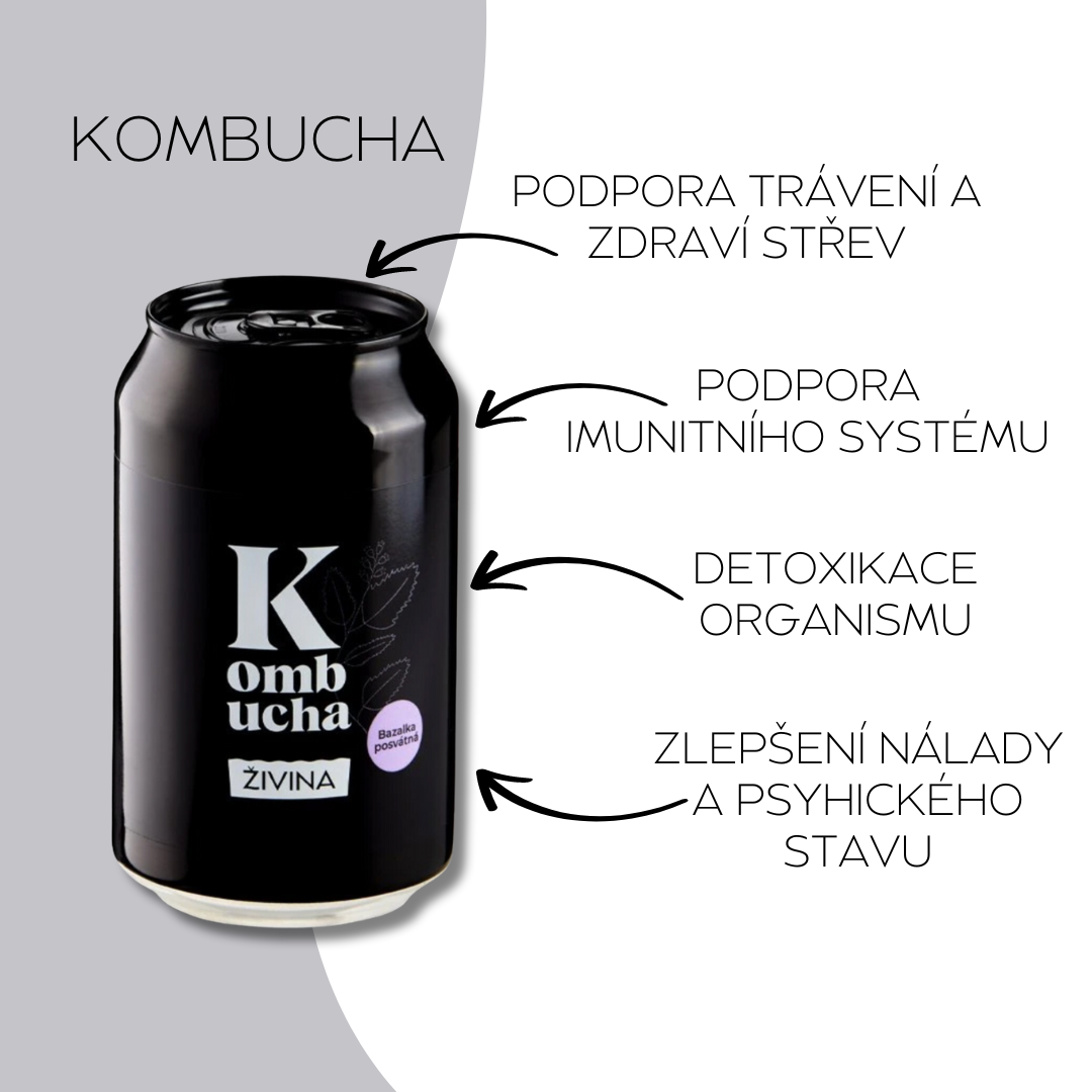 přínosy kombuchy
